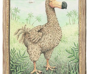 Dodo illustration from "De eenhoorn en andere fantastische dieren ..." | Lotte Stegeman | Luitingh-Sijthoff | 2020