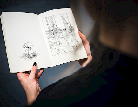 Sketchbook with nature motifs, drawn with pen and ink. Partly the drawings were created with templates from walks in the forest, partly they are freely imagined. (Photo: Michael Orth)