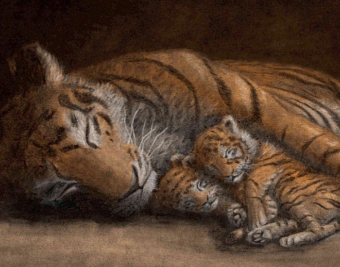 Illustration aus Little Tigers, geschrieben und illustratiert von Jo Weaver, erschienen im Verlag Hodder Children's Books UK, 2019