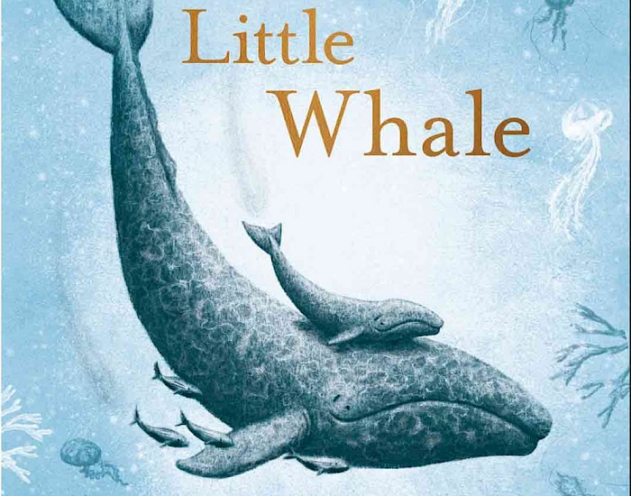 Little Whale, geschrieben und illustriert von Jo Weaver, erschienen im Verlag Hodder Children's Books UK, 2018 ​