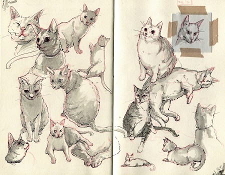 "Sketchbookcats"